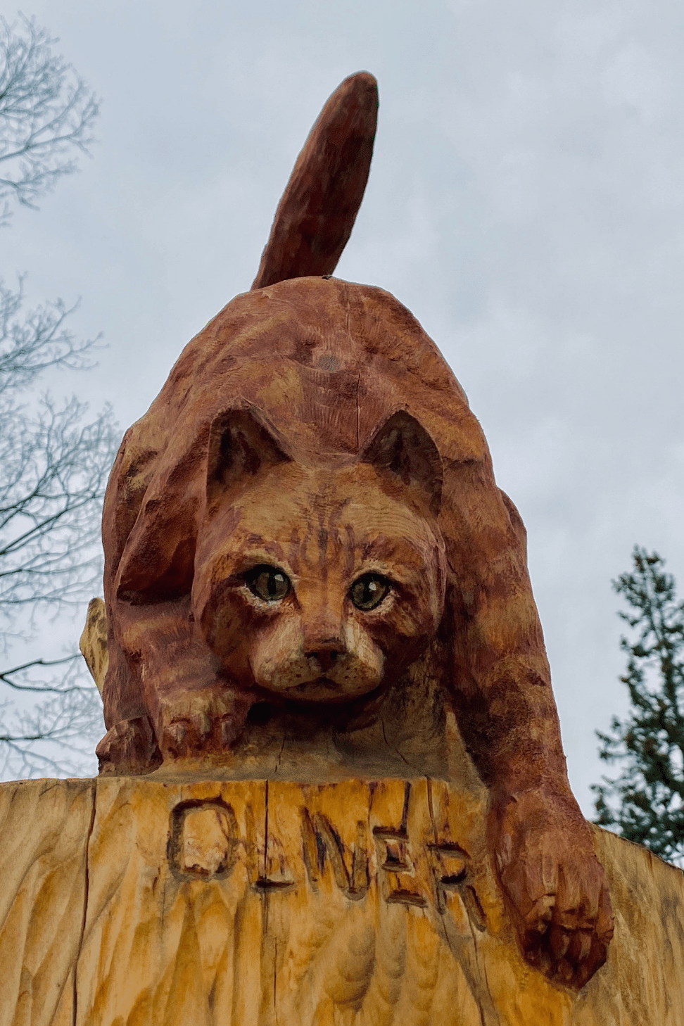 Close up detail of a wooden carved cat on tree sculpture